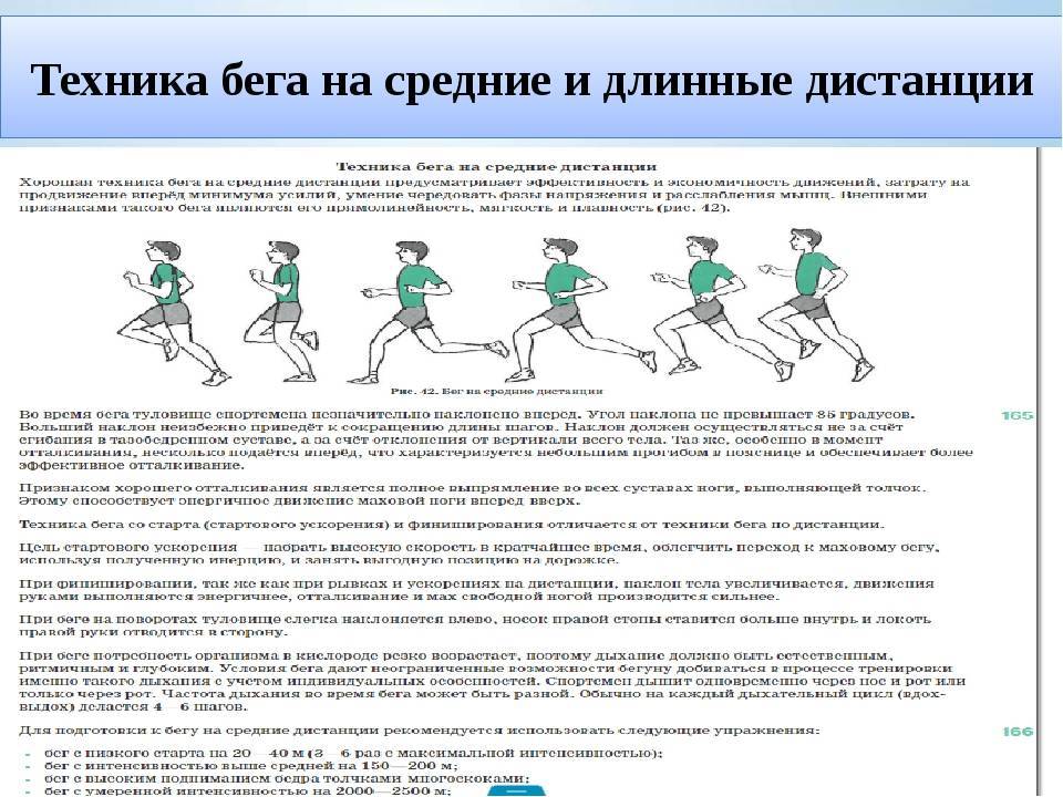 Бег на средние дистанции: виды и техника, характеристика, методика обучения, правила тренировки, план, программа