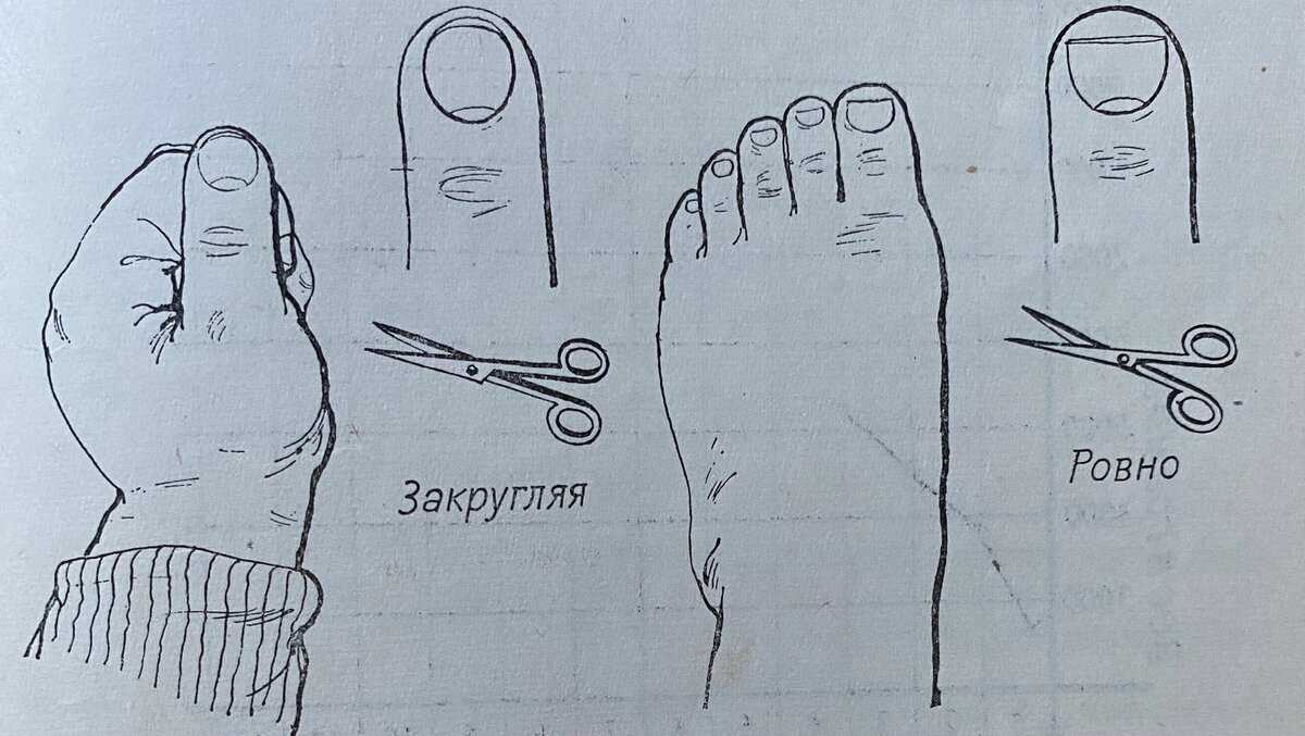 Как подстричь ногти на руках — народные приметы и правила ухода