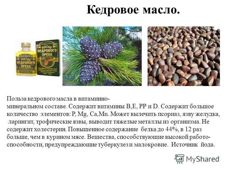 Эфирное масло кедра: 13 полезных свойств и применений