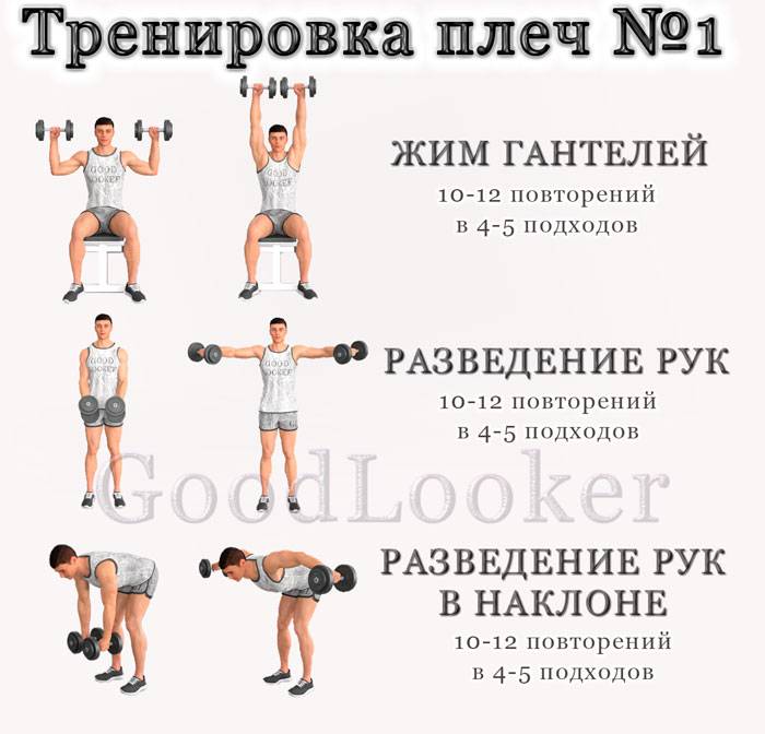 Упражнения на плечи для девушек для зала и дома