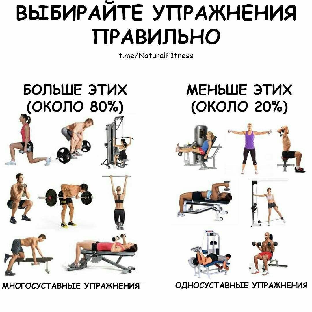 Тренировка плеч для девушек, упражнения для женщин на дельты