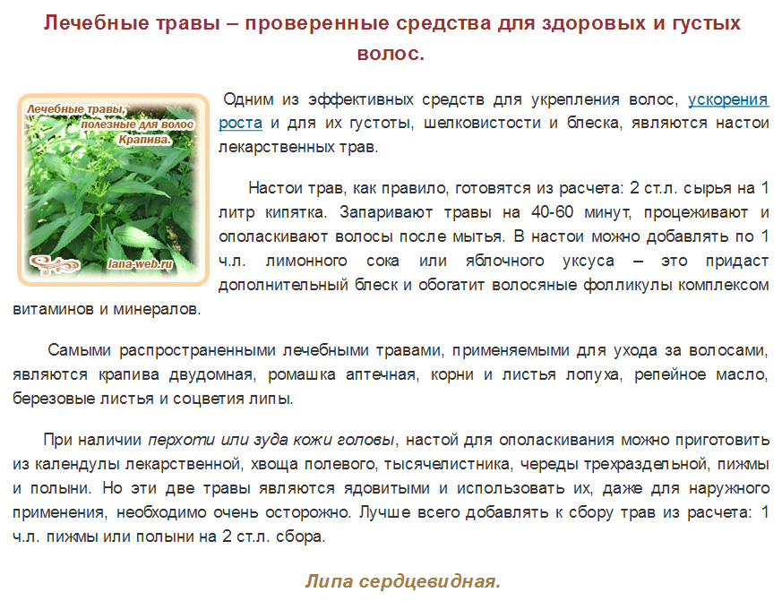 Эффективные народные рецепты от выпадения волос