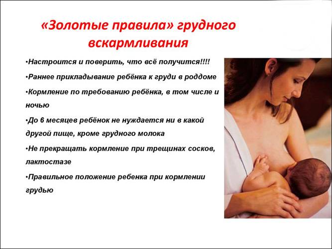 Актуальный вопрос для молодых мам: выпадение волос при грудном вскармливании