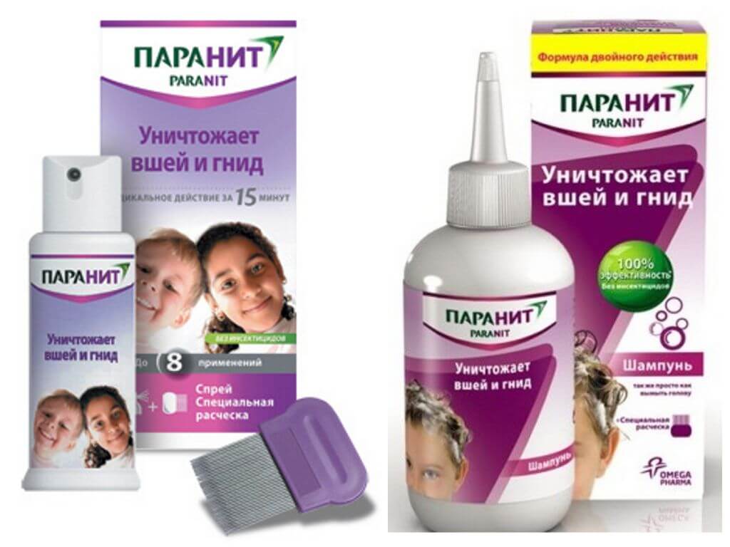 Топ 5 шампуней от гнид: самые лучшие средства и отзывы