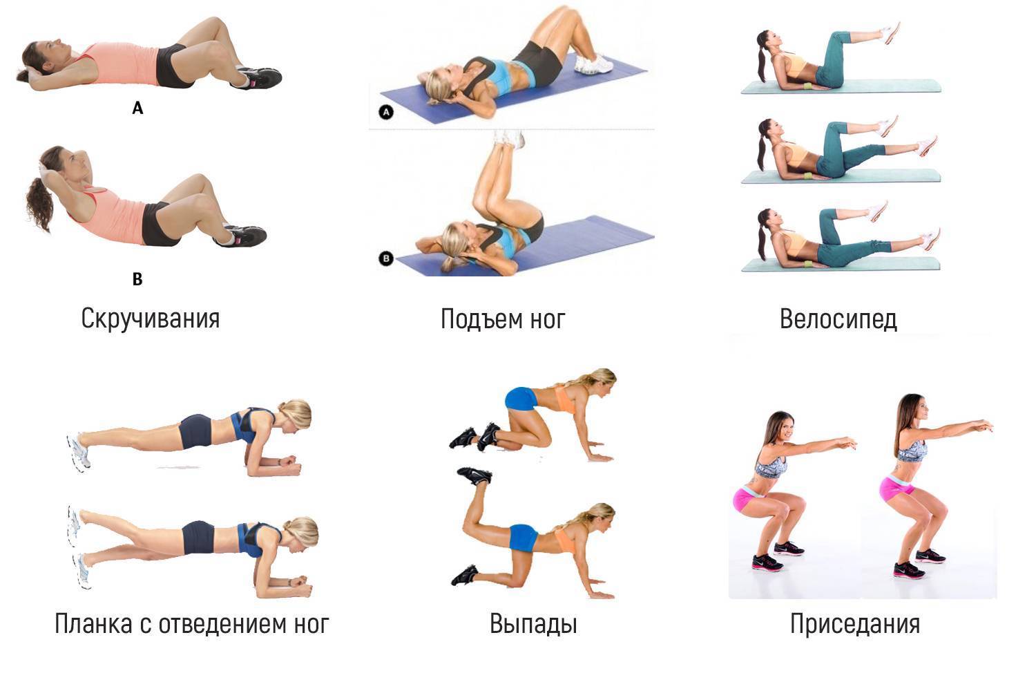 Лучшие комплексы упражнений для похудения девушек в тренажерном зале