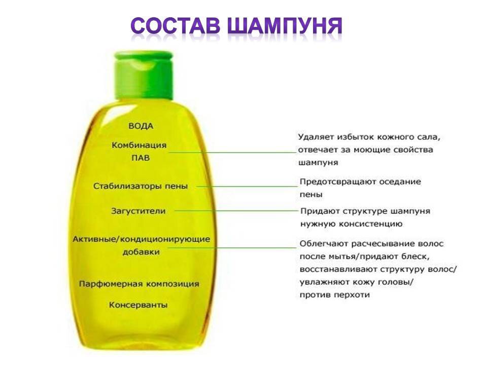 Лучшие профессиональные шампуни для волос – рейтинг 2024 года – топ-12