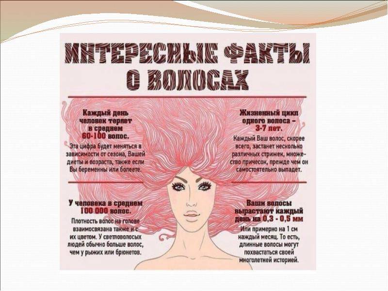 Косметическая глина для волос - польза и применение