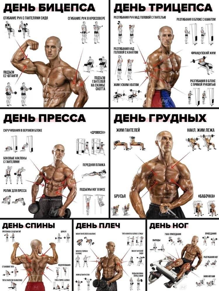 Упражнения на бицепс с гантелями
