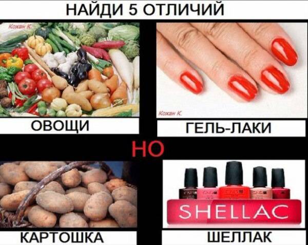 Шеллак, биогель, винилюкс или обычный стойкий лак – опыт мастера по маникюру и педикюру