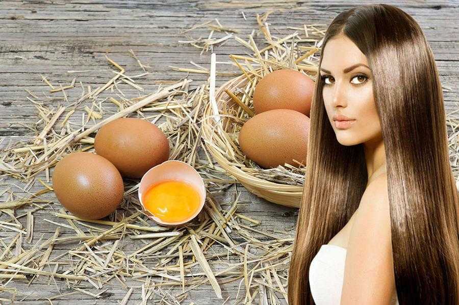 Яичная маска и шампунь из желтка для роста волос: как пользоваться и будет ли результат