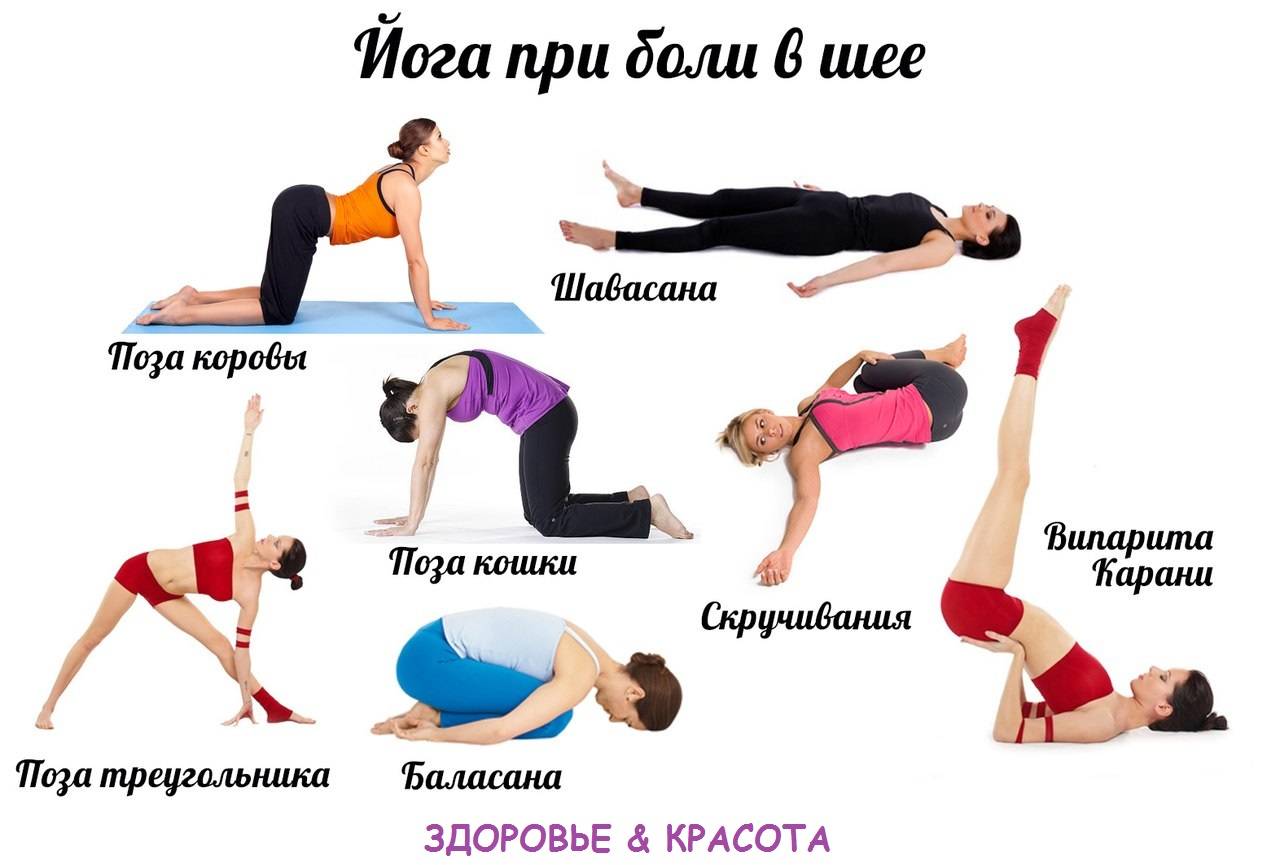 Йога для спины: упражнения для всех отделов позвоночника, видео