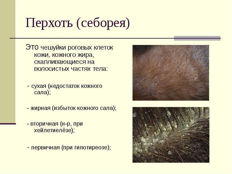 Чем может быть спровоцировано выпадение волос и зудение кожи головы