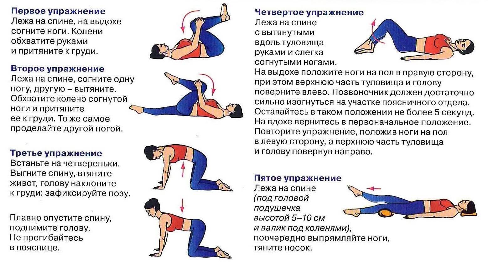 Методика доктора норбекова - упражнения для суставов и позвоночника с описанием и видео