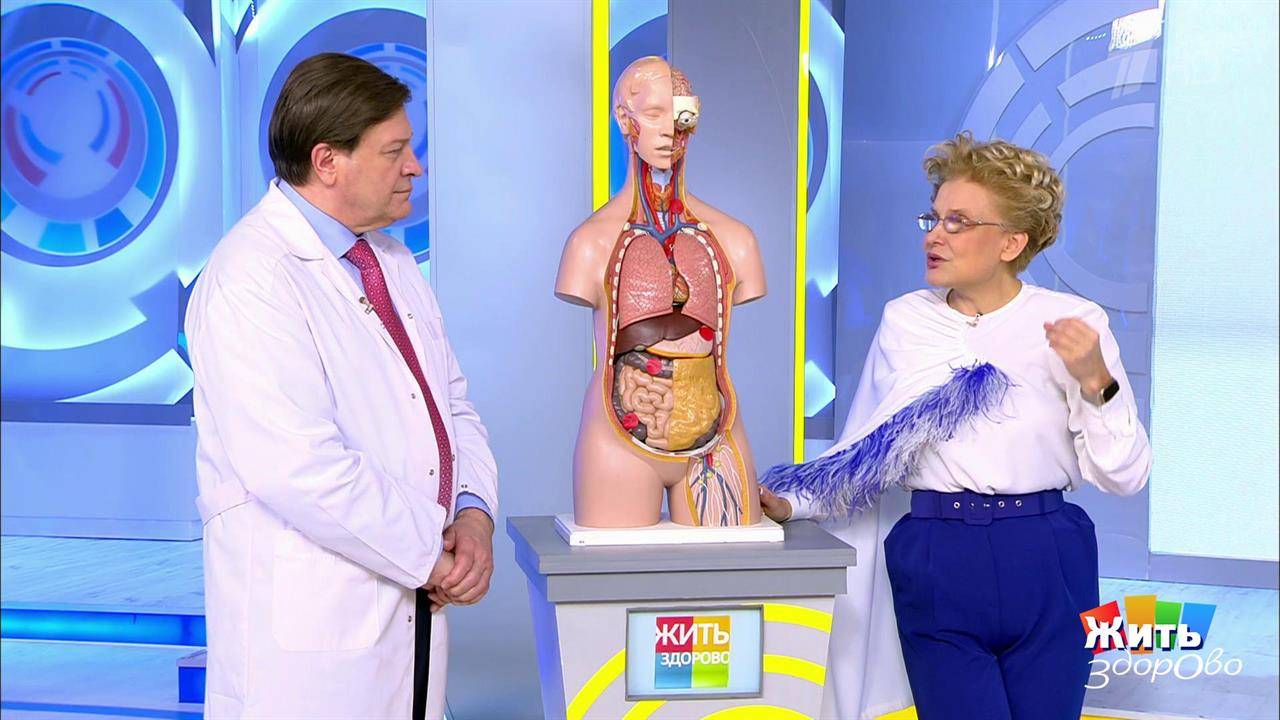 Таблетки для похудения по мнению елены малышевой. советы елены малышевой о похудении в домашних условиях