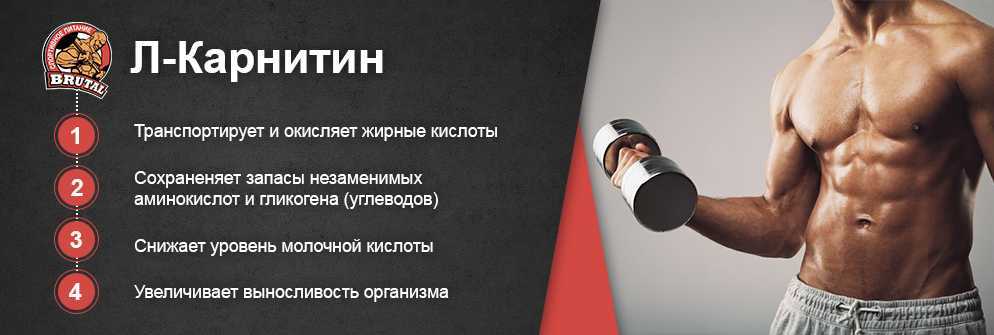 Л-карнитин для похудения: инструкция по применению, отзывы - tony.ru