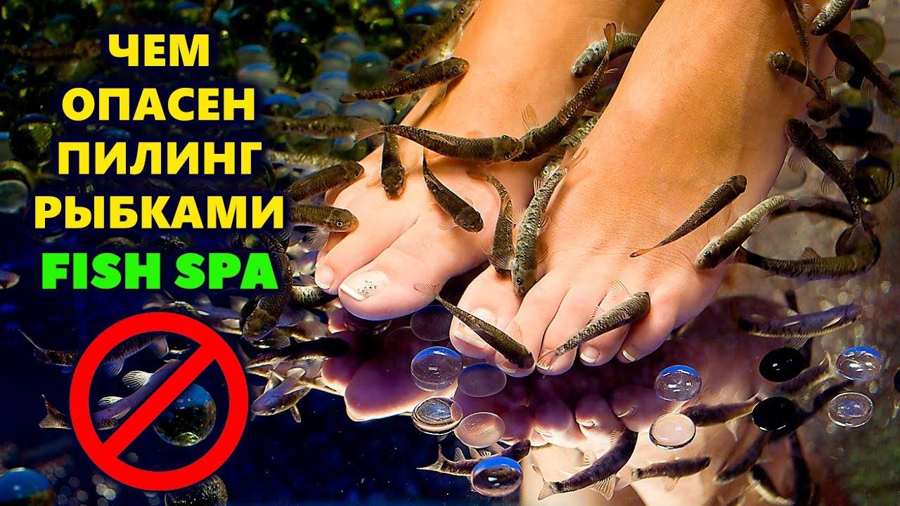 Рыбки гарра руфа польза и вред, исследования лечебных свойств