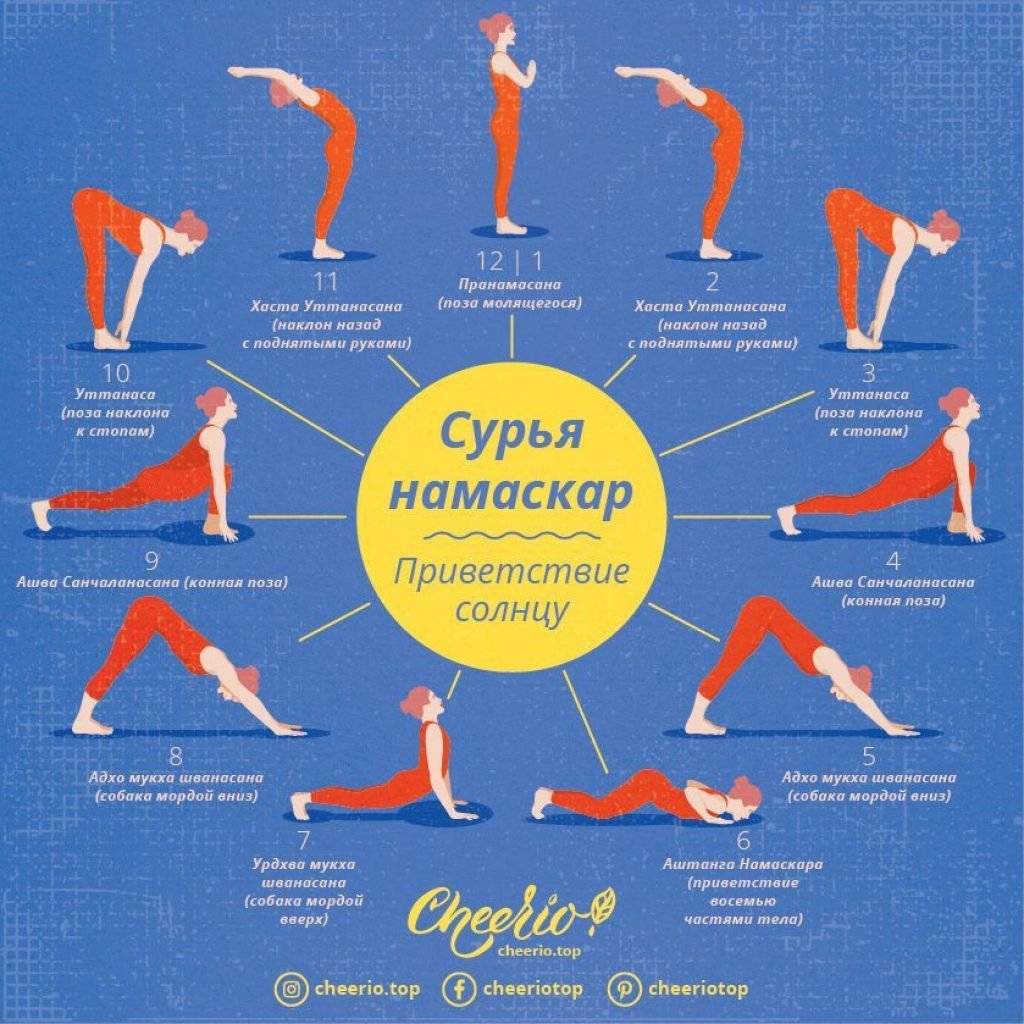 Занятия йогой для начинающих: 10 лучших асан для новичков в домашних условиях
