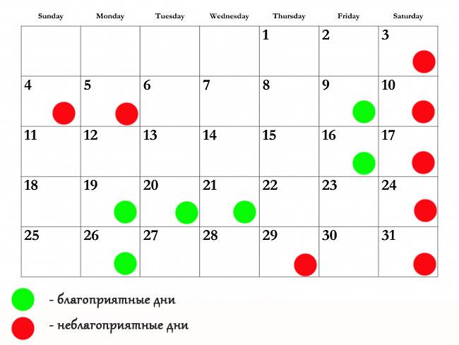 Лунный календарь маникюра на 2024 год — благоприятные и неблагоприятные дни