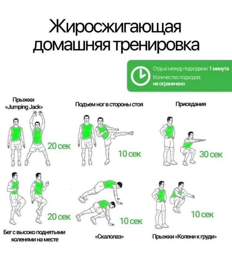 Программы круговых тренировок в тренажерном зале для девушек