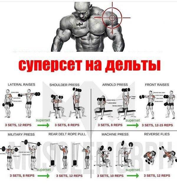 Лучшие упражнения на заднюю дельту. техника выполнения. распространенные ошибки. | culturfit