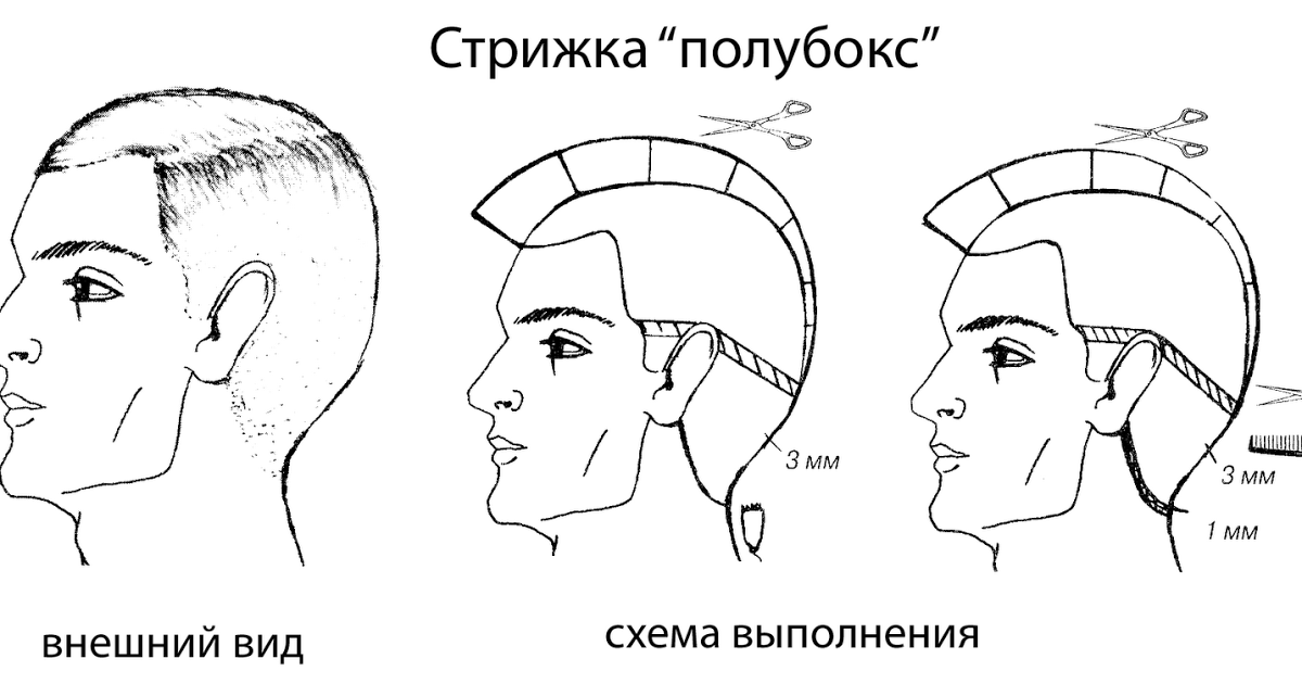 Стрижка полубокс, посягаем на мужское