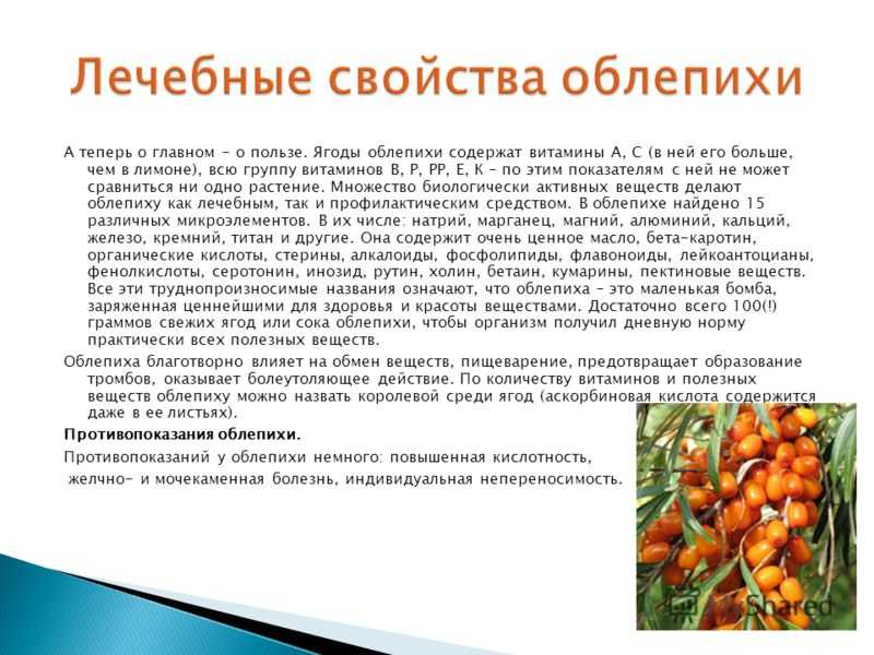 Облепиха: полезные свойства и противопоказания, чем полезна для организма
