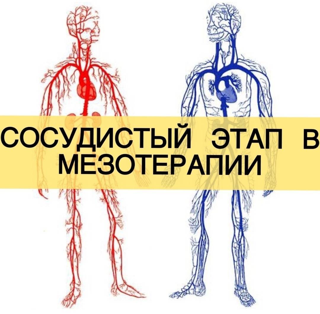 Мезотерапия лица о процедуре, показания, противопоказания