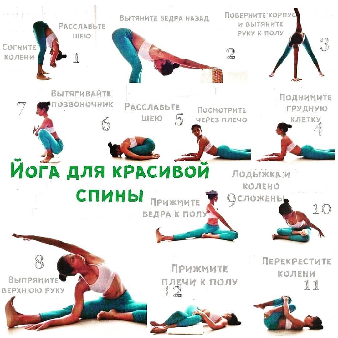 Упражнения йоги для спины: комплекс самых эффективных