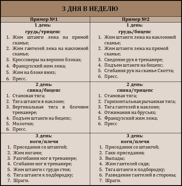 Комплекс упражнений для женщин в тренажерном зале: план тренировки - tony.ru