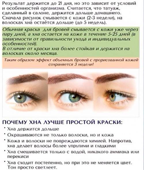 Окрашивание бровей хной: техника биотатуажа в домашних условиях