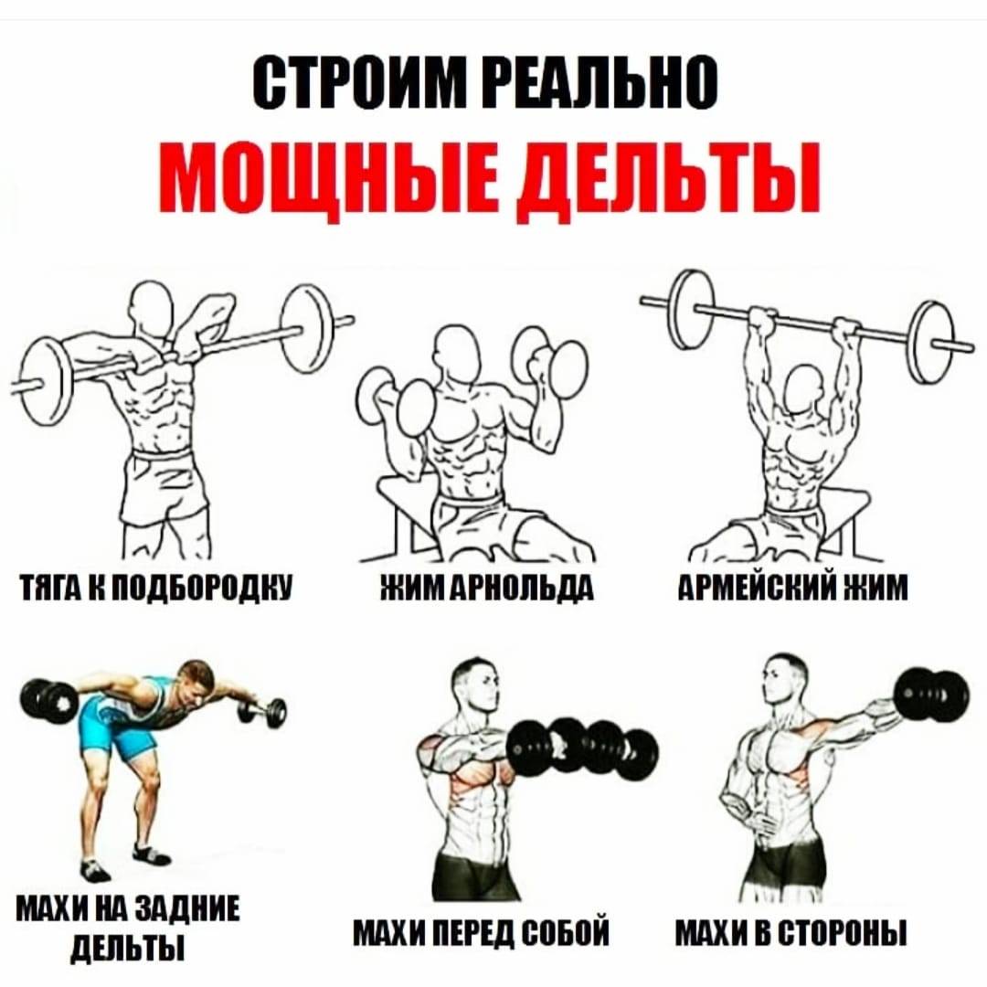 Как накачать плечи дома и зале: топ-15 упражнений