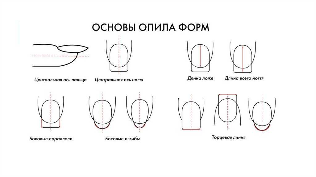 Самый шикарный маникюр: новинки, фото красивого дизайна
