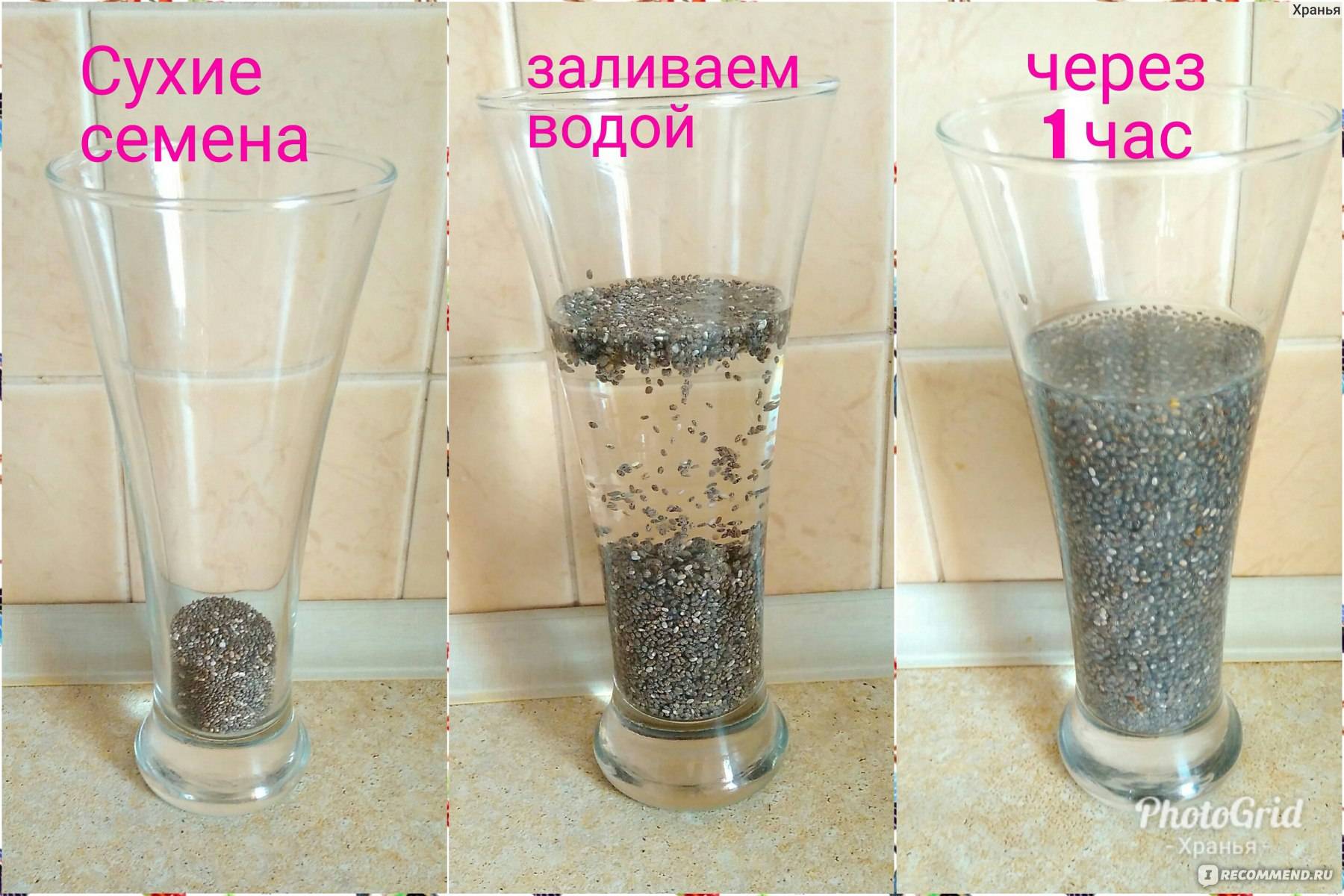 Семена чиа - виды, полезные свойства, противопоказания, рецепты приготовления