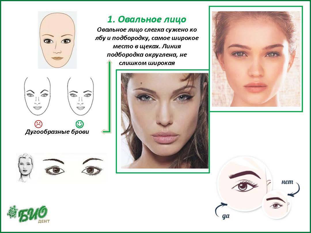 Правильная форма бровей для разных типов лица