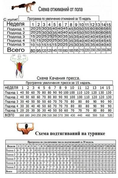 Отжимания от пола. программа для начинающих в таблице 1-100