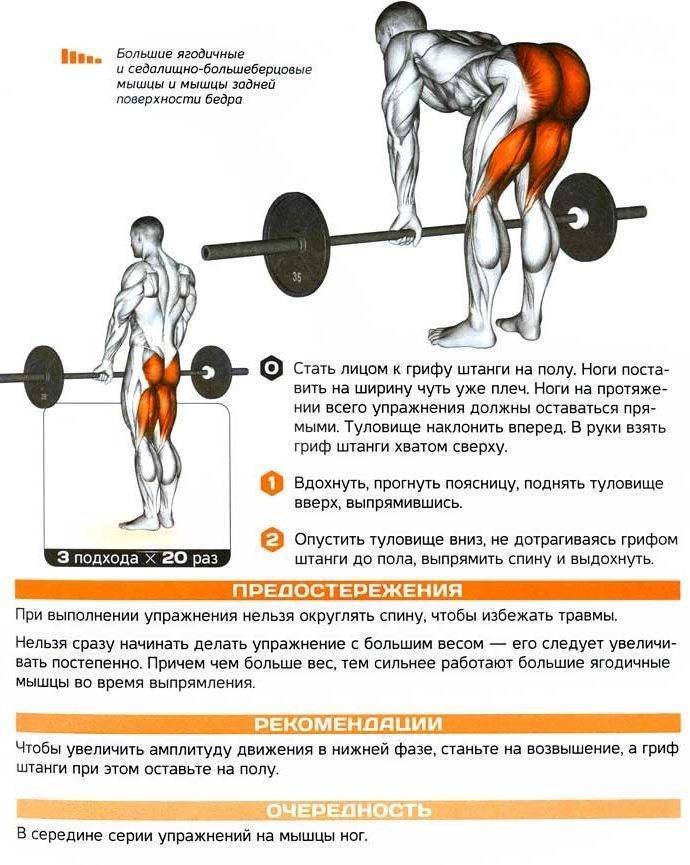 Становая тяга с гантелями, разновидности, польза, нюансы тренировки