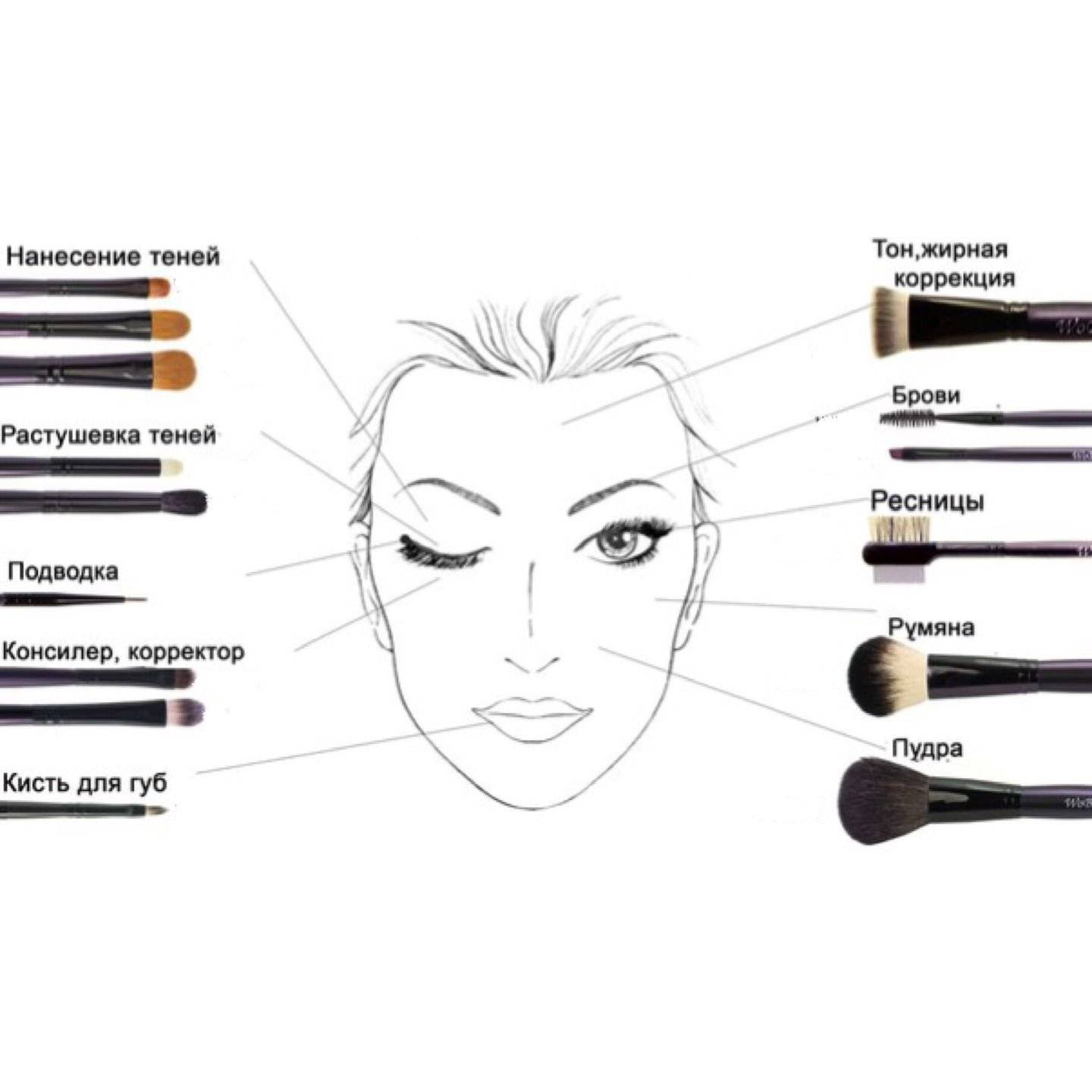Страсти по мейк-апу: гид по 16-ти основным инструментам и кистям для макияжа
