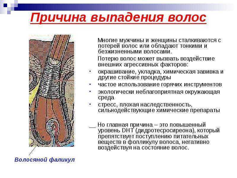 Почему выпадают волосы у женщин в большом количестве, причины и что делать