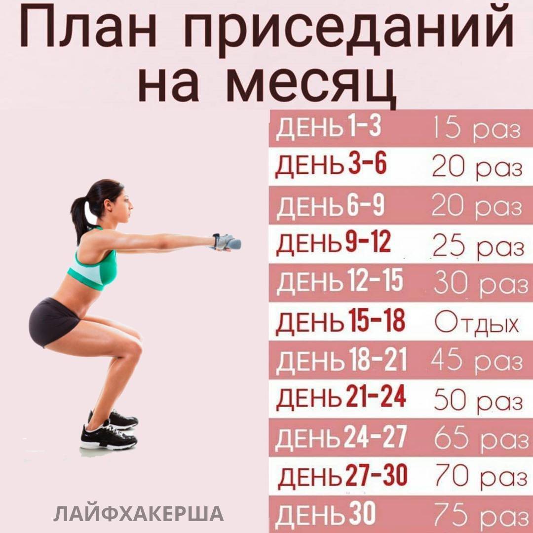 За сколько времени можно накачать попу девушке в домашних условиях, чтобы был виден результат: сроки тренировок