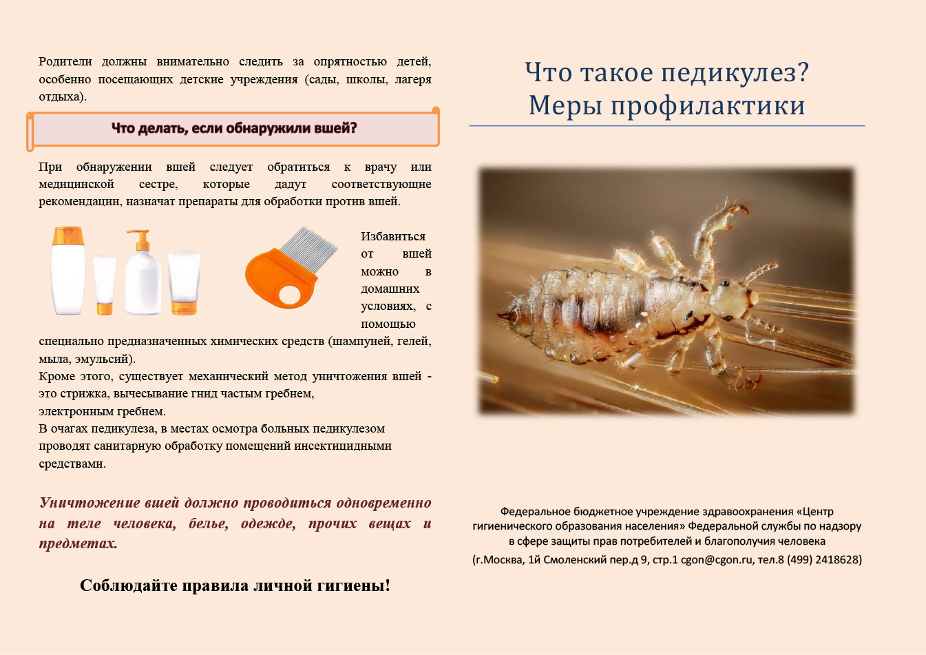 Педикулез в школе: что делать?