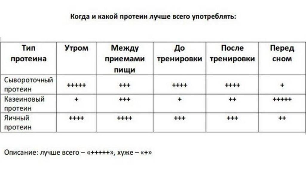 Как правильно принимать протеин