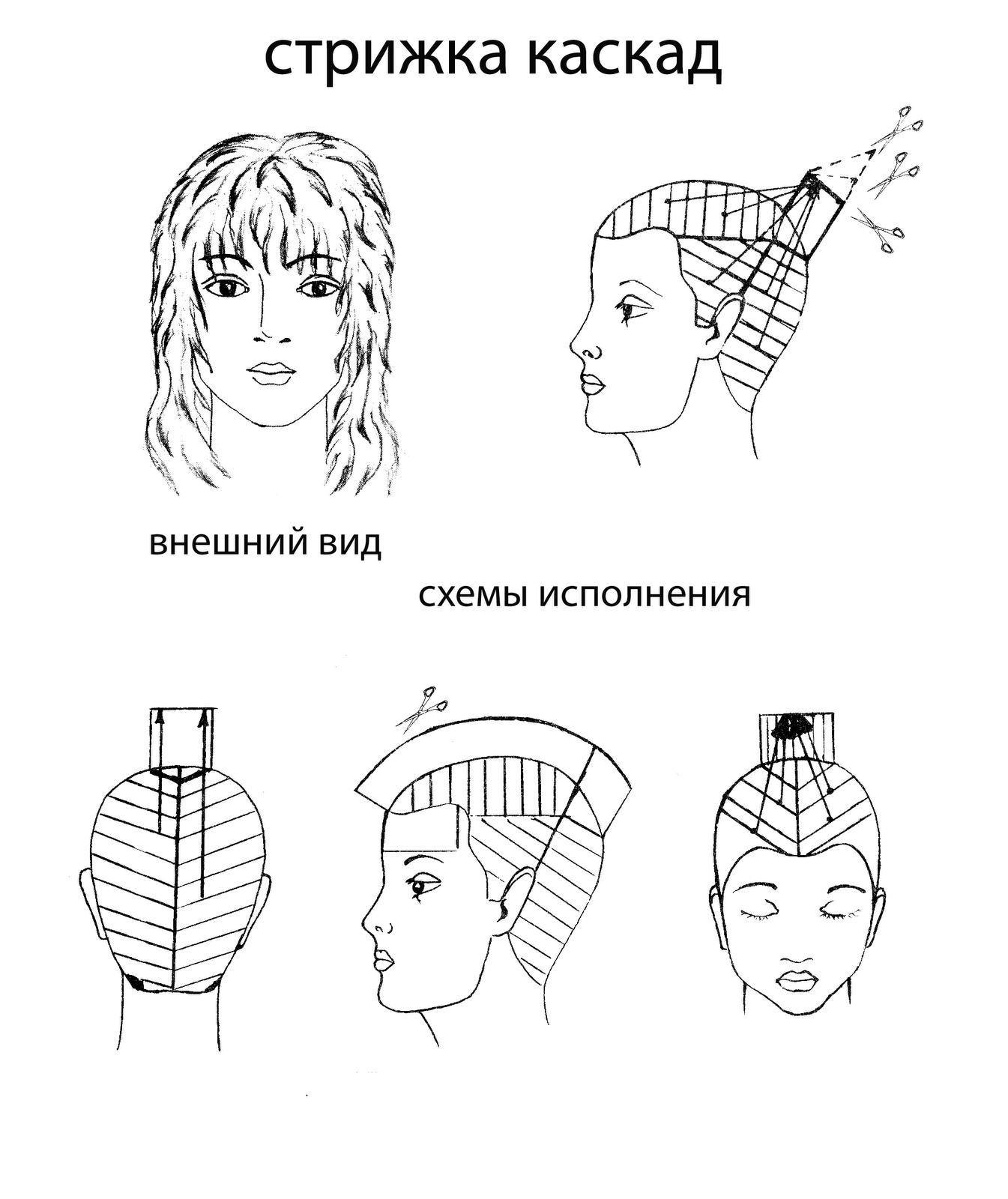 Французское каре: варианты и техника исполнения, укладка, фото
