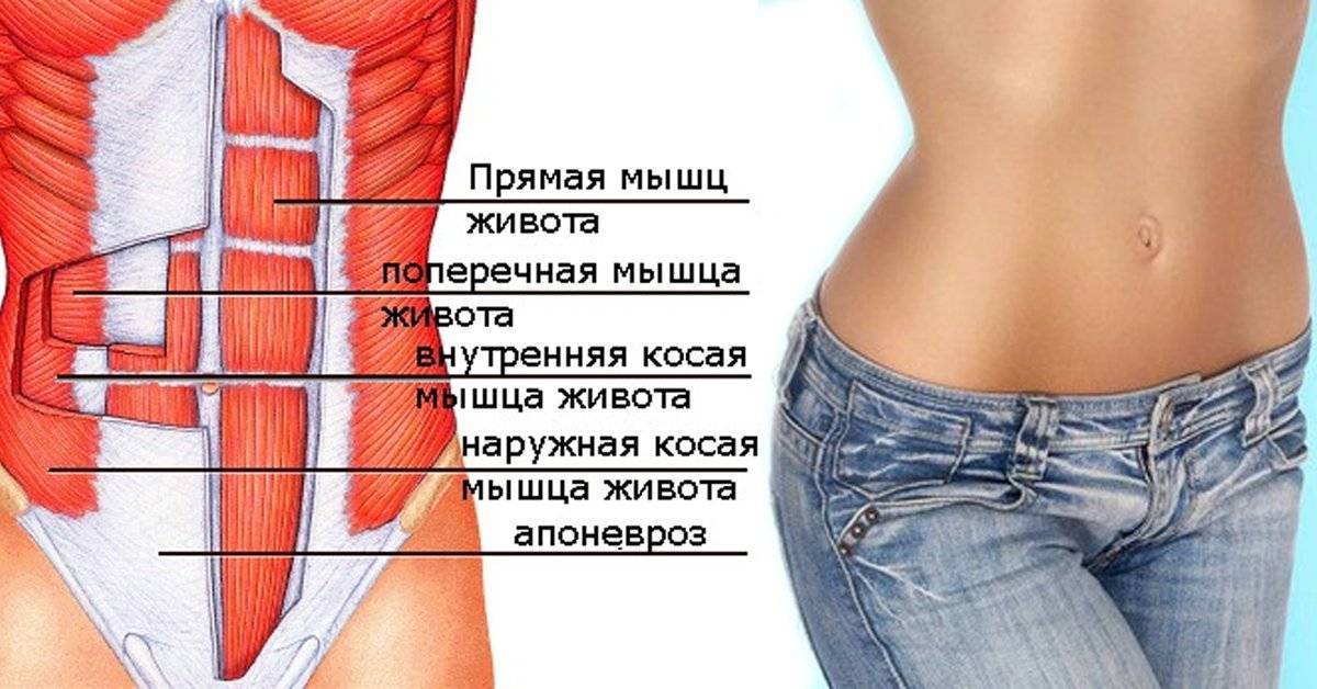 Упражнения на косые мышцы живота: как накачать боковой пресс для мужчин и женщин в домашних условиях или в тренажерном зале