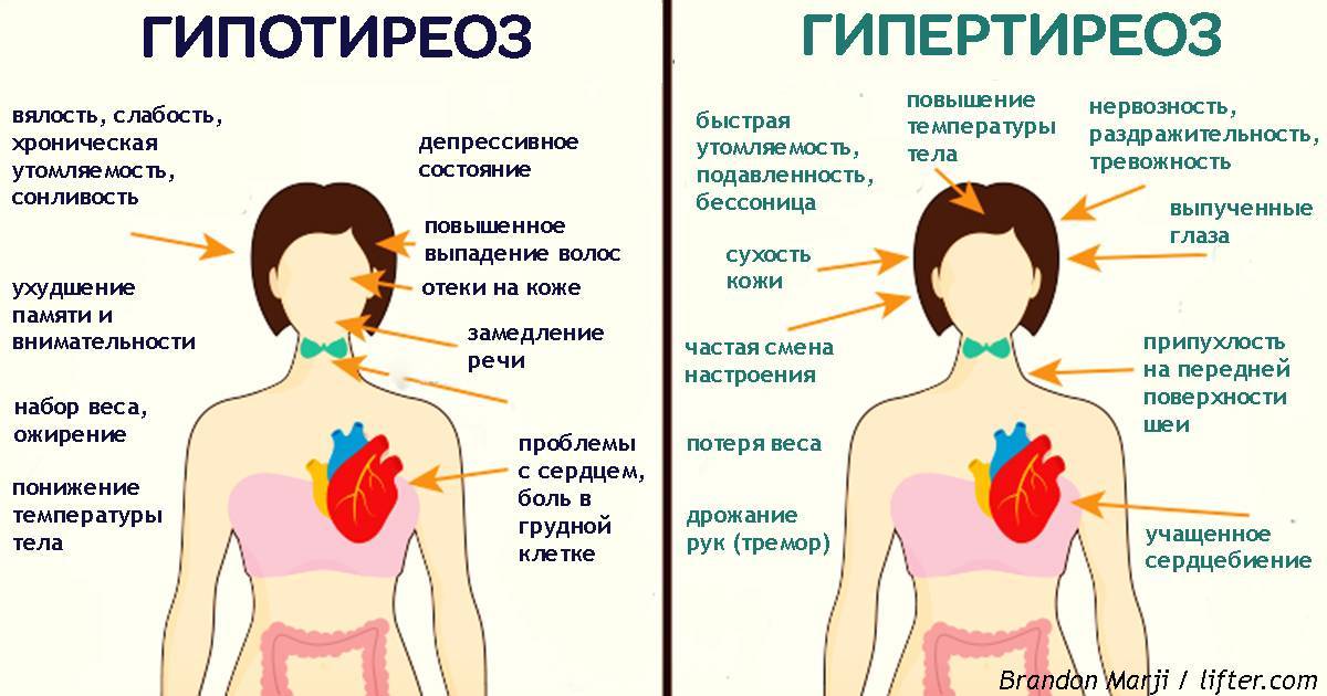 Причины потери волос у молодых женщин