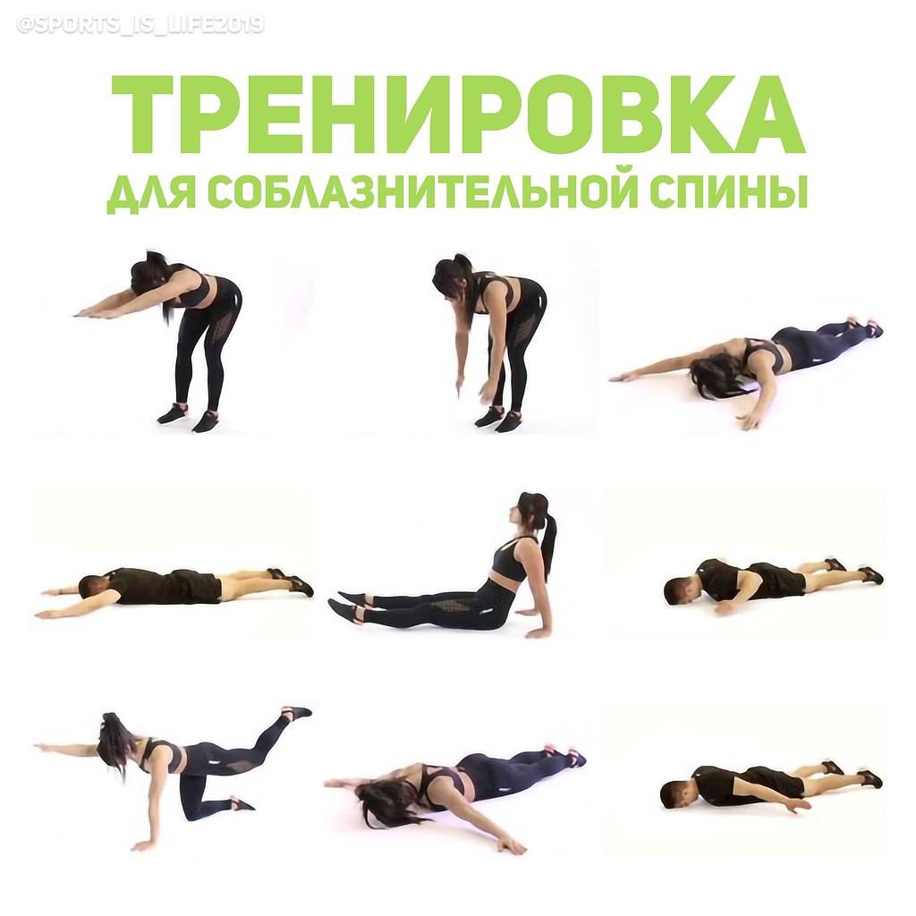 Как убрать жир со спины? полное руководство