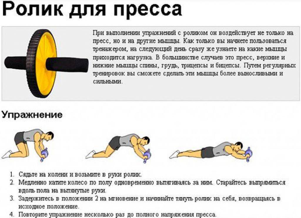 Как выбрать лучшие гимнастические ролики для пресса в 2024 году