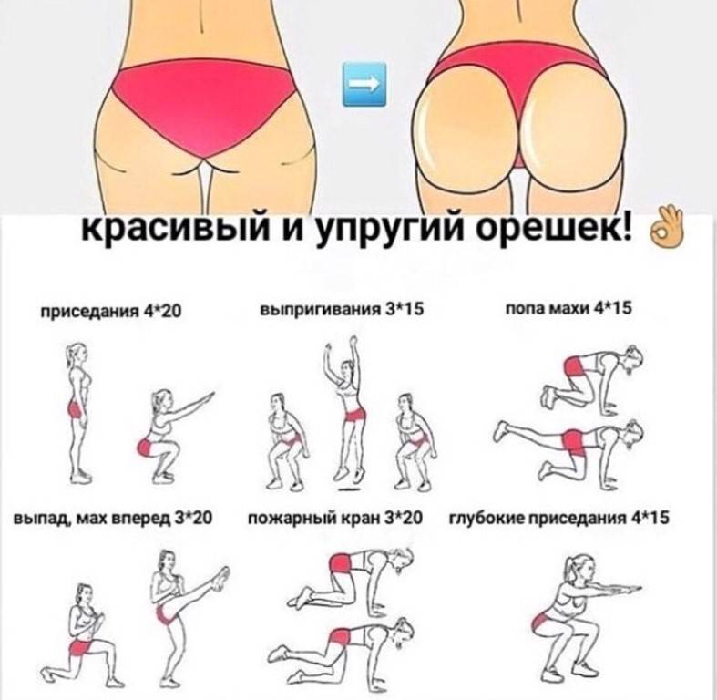 Упражнения для нижней части ягодиц: техника выполнения - tony.ru