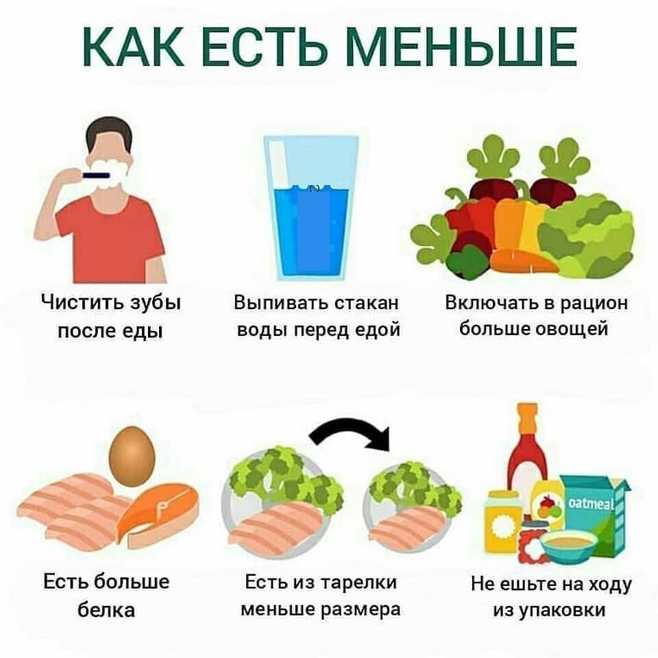 Что можно есть для похудения: как нужно есть, чтобы тело было стройным и красивым