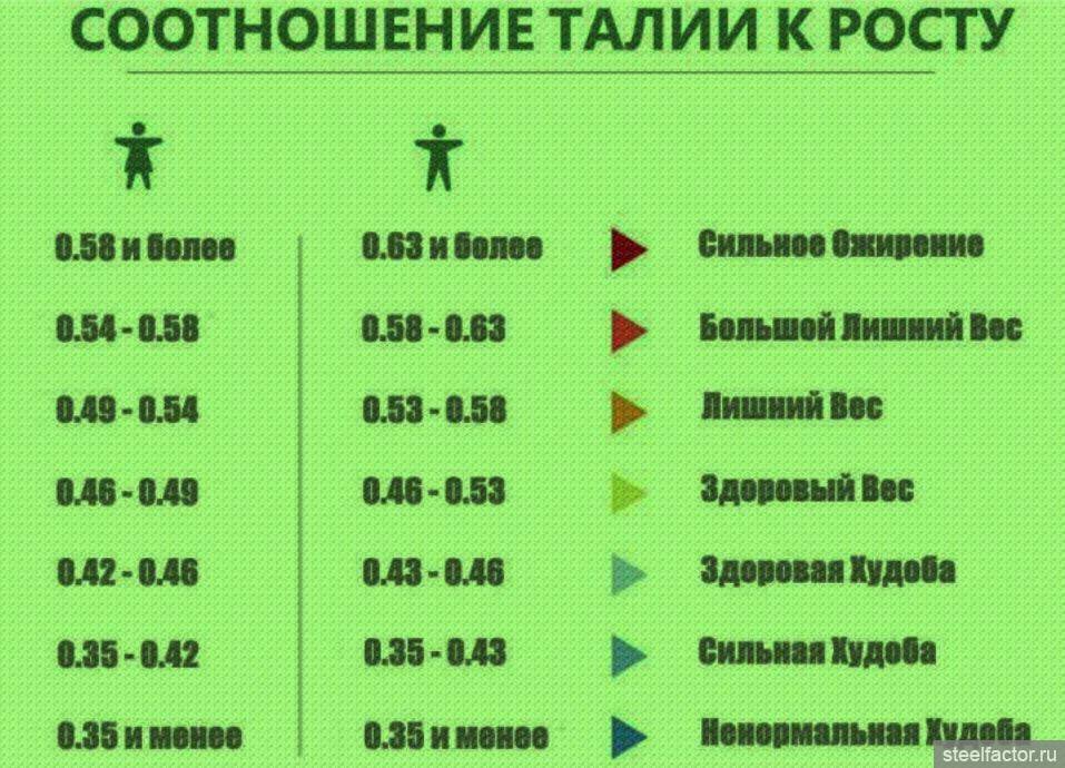 Идеальные пропорции женского тела: по росту в таблице, идеальная фигура и советы по подбору одежды.