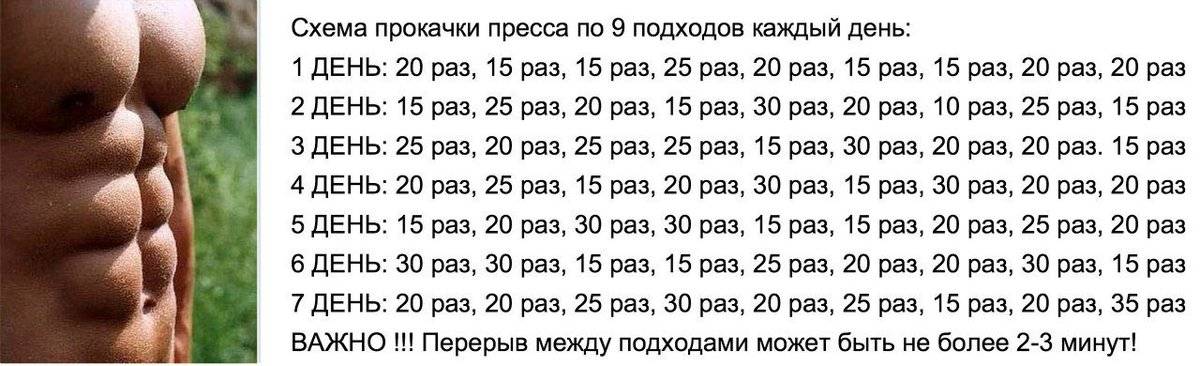 Как накачать пресс девушке: тройка эффективных программ